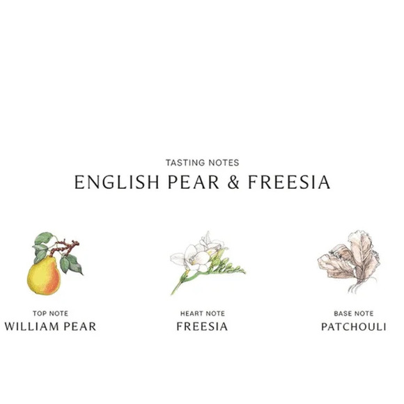 NIB Jo Malone English Pear & Freesia Cologne 1oz Limited Edition - Picture 5 of 10